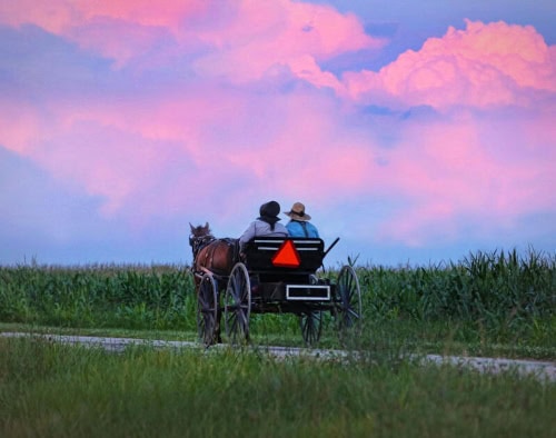 Amish couple riding in a horse drawn buggy during sunset